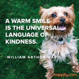 Meet your Posher, Diane